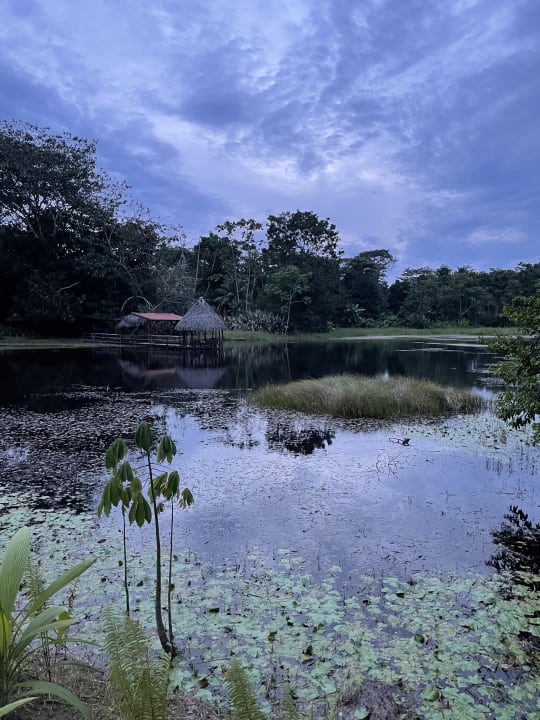 Gartenanlage Maquenque Eco-Lodge