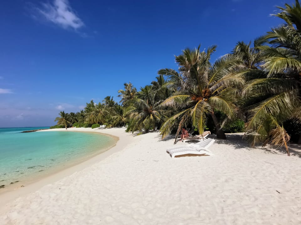 Strand Summer Island Maldives