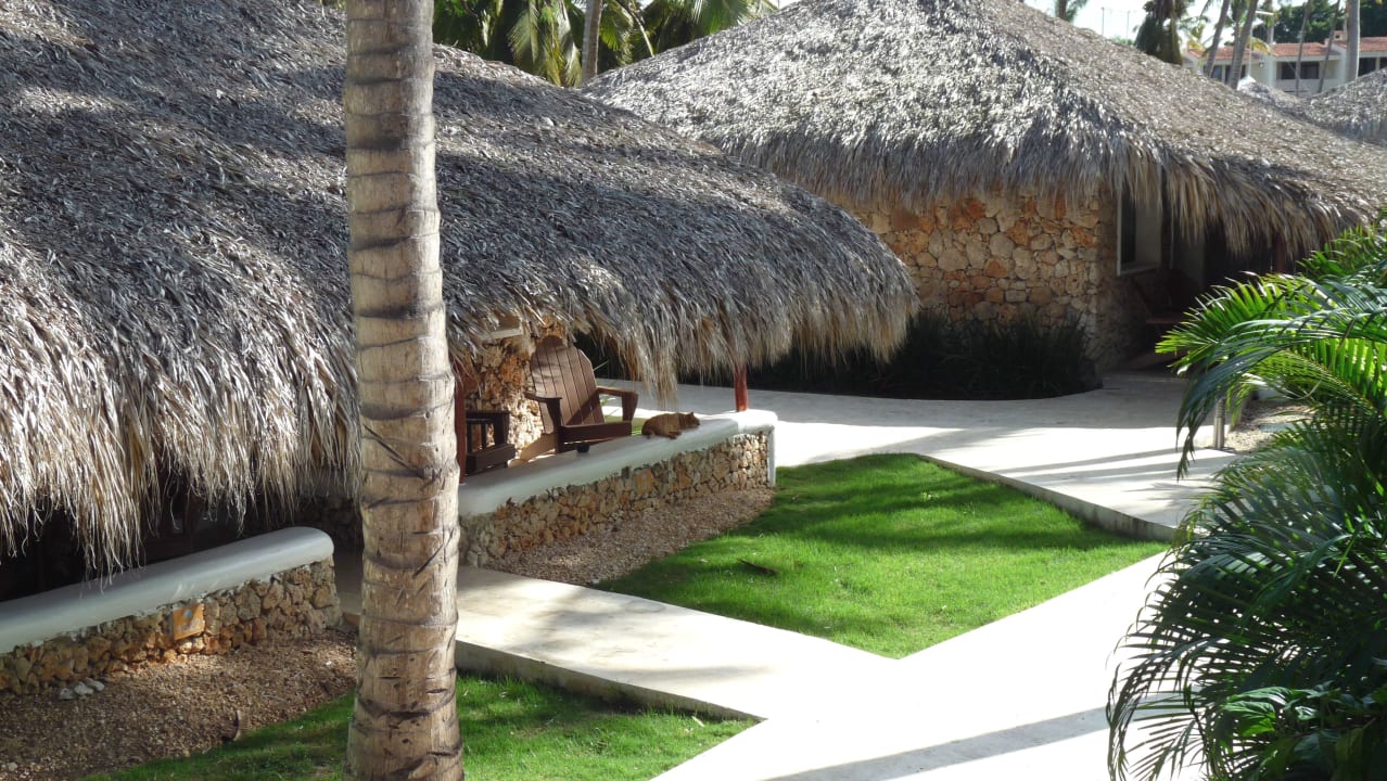 Außenansicht Hotel Viva Dominicus Beach by Wyndham - All Inclusive Resort