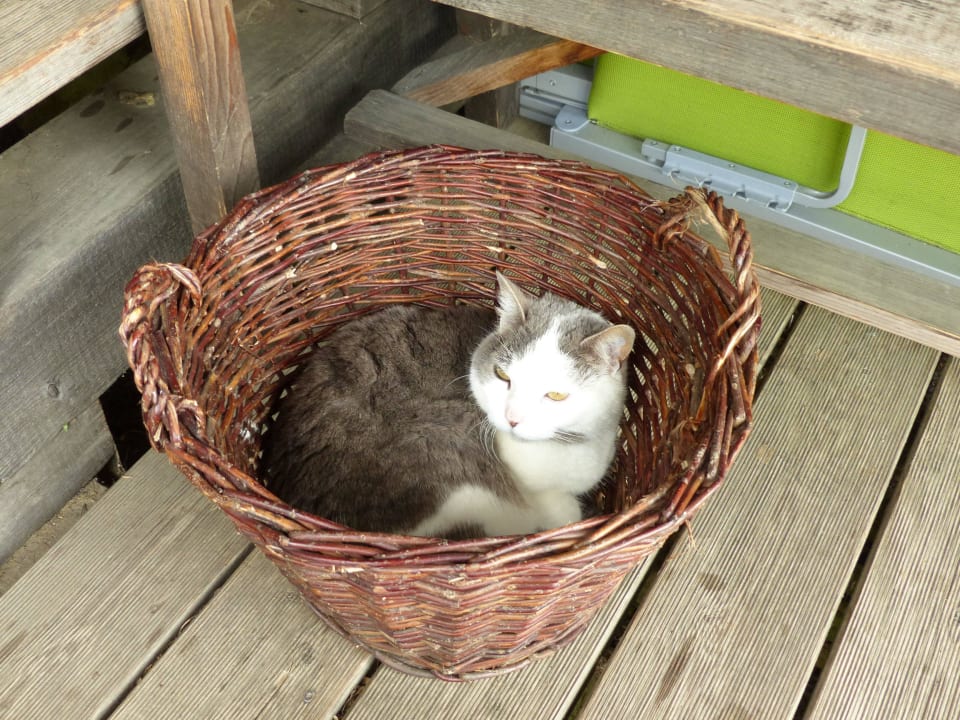 Relaxen auf der Terrasse LUXGUT - OLIVIA