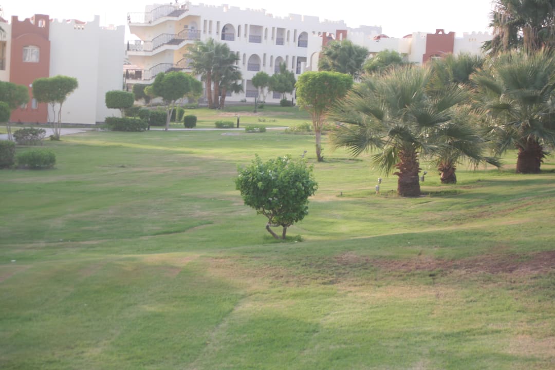 Gartenanlage SUNRISE Royal Makadi Resort