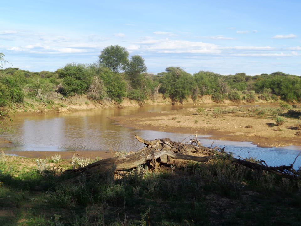 Ausblick Otjiwa Safari Lodge