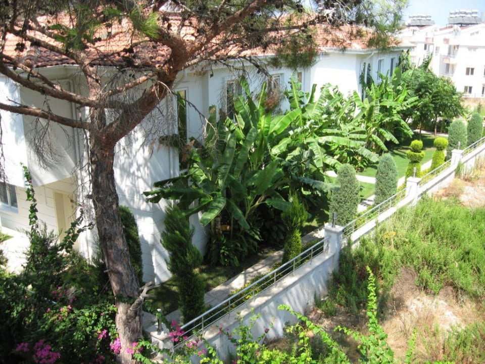Balkonblick in Nachbarsgarten auf Bananebäume Hotel Forest Park