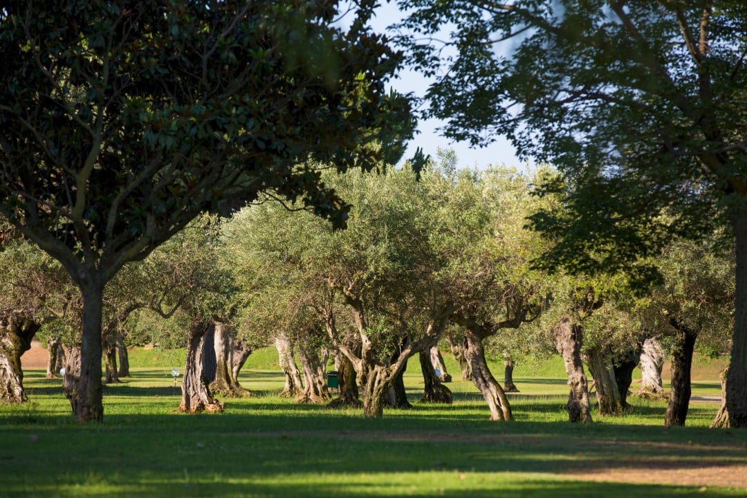 Gartenanlage MClub Lipari