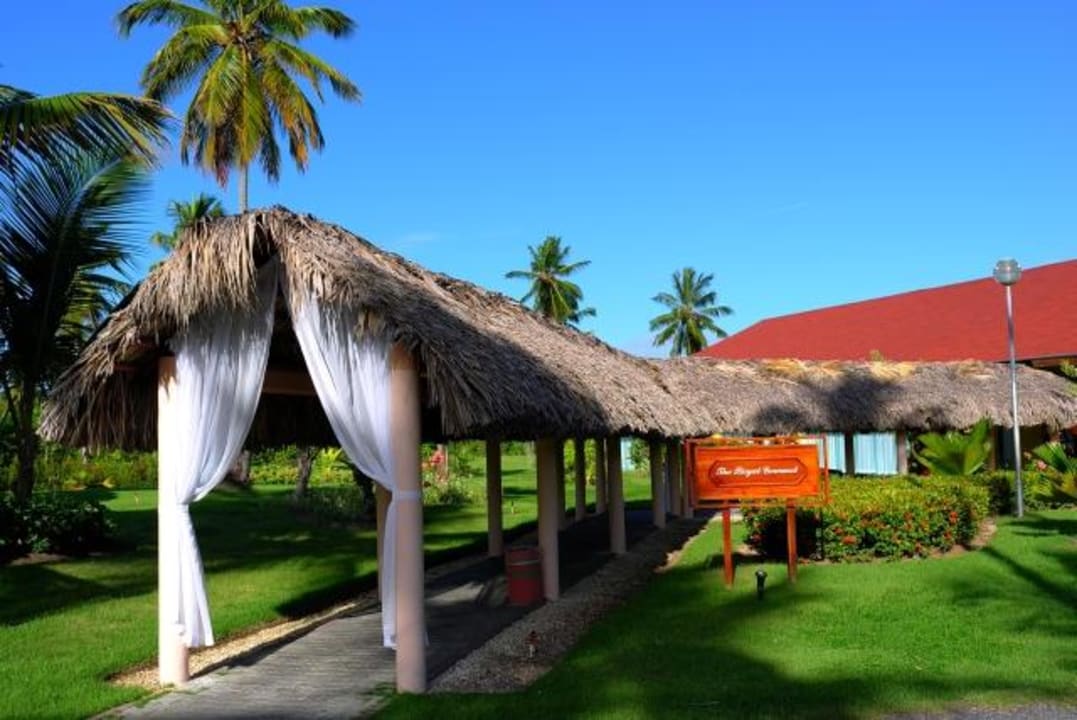 Zugang zum Restaurant El Gourmet TRS Turquesa Hotel - Adults only