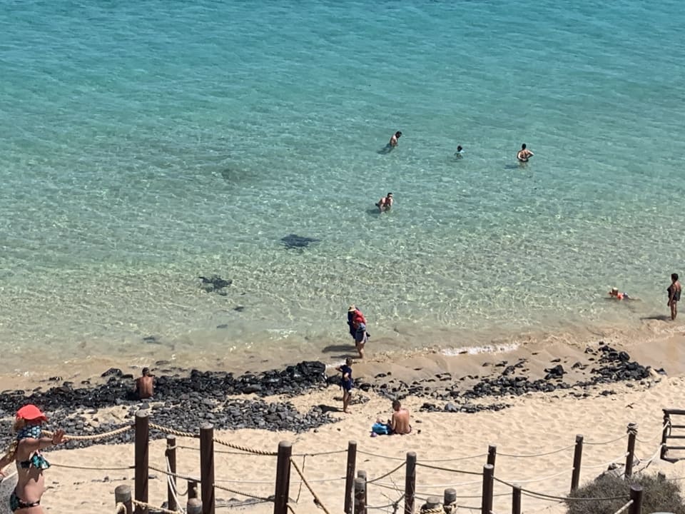 Ausblick TUI MAGIC LIFE Fuerteventura