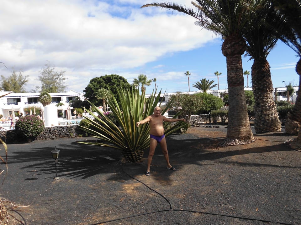 Vista giardini Relaxia Olivina