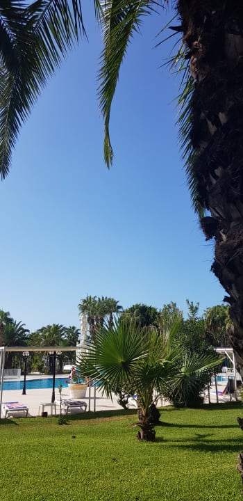 Pool Süral Saray Hotel