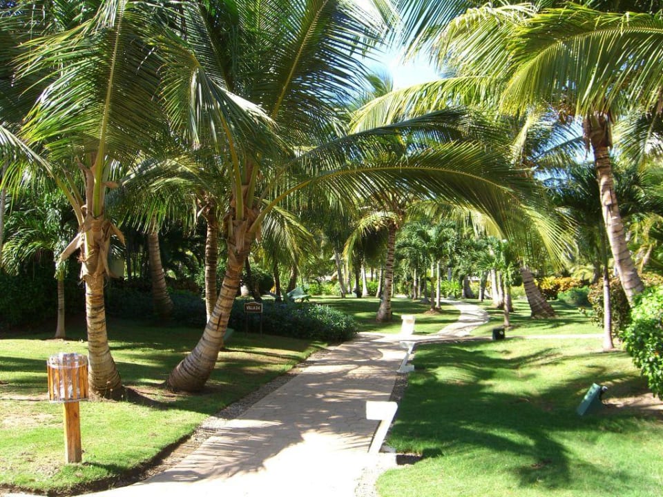 Anlage Catalonia Punta Cana - All Inclusive