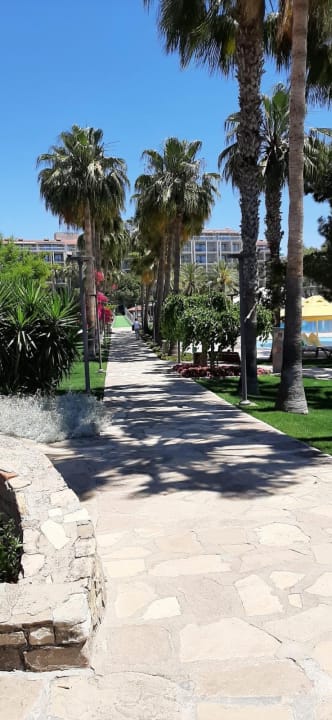 Gartenanlage Arum Barut Collection