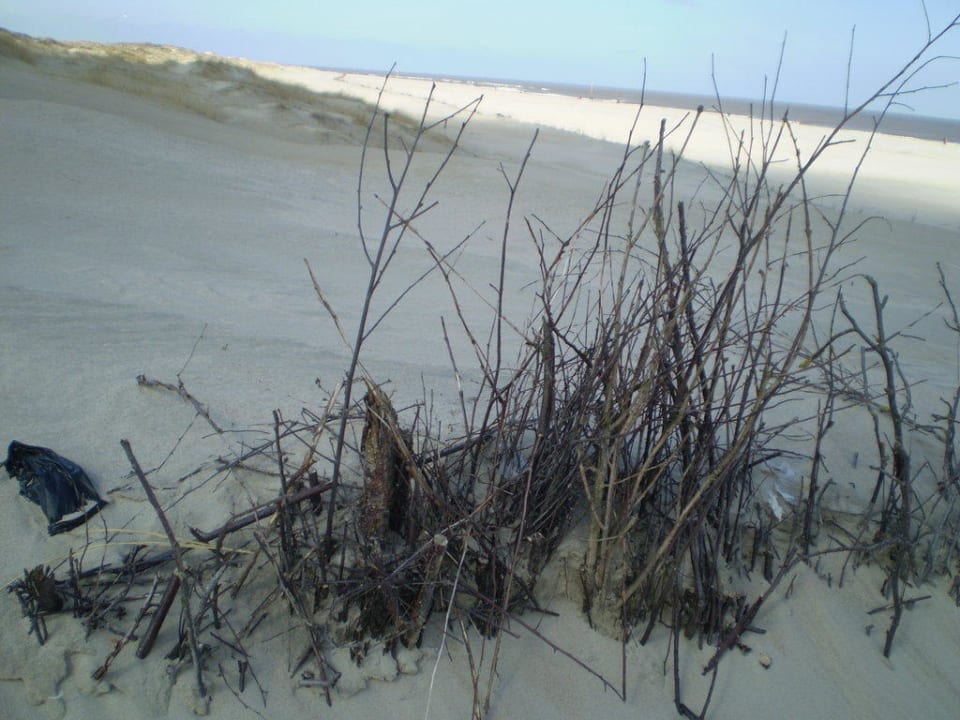 Oase Strandhotel Georgshöhe