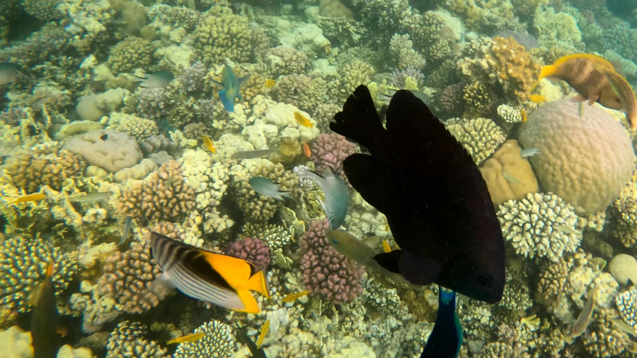 Sport & Freizeit Makadi Spa - Adults only