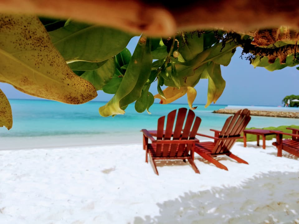 Strand Summer Island Maldives