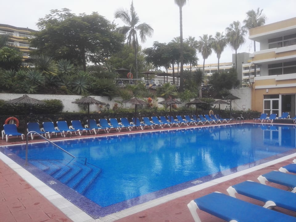Pool BLUESEA Complejo Puerto Resort (Canarife y Bonanza Palace))