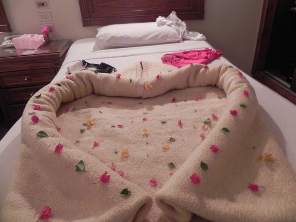 Красота Shams Safaga Resort