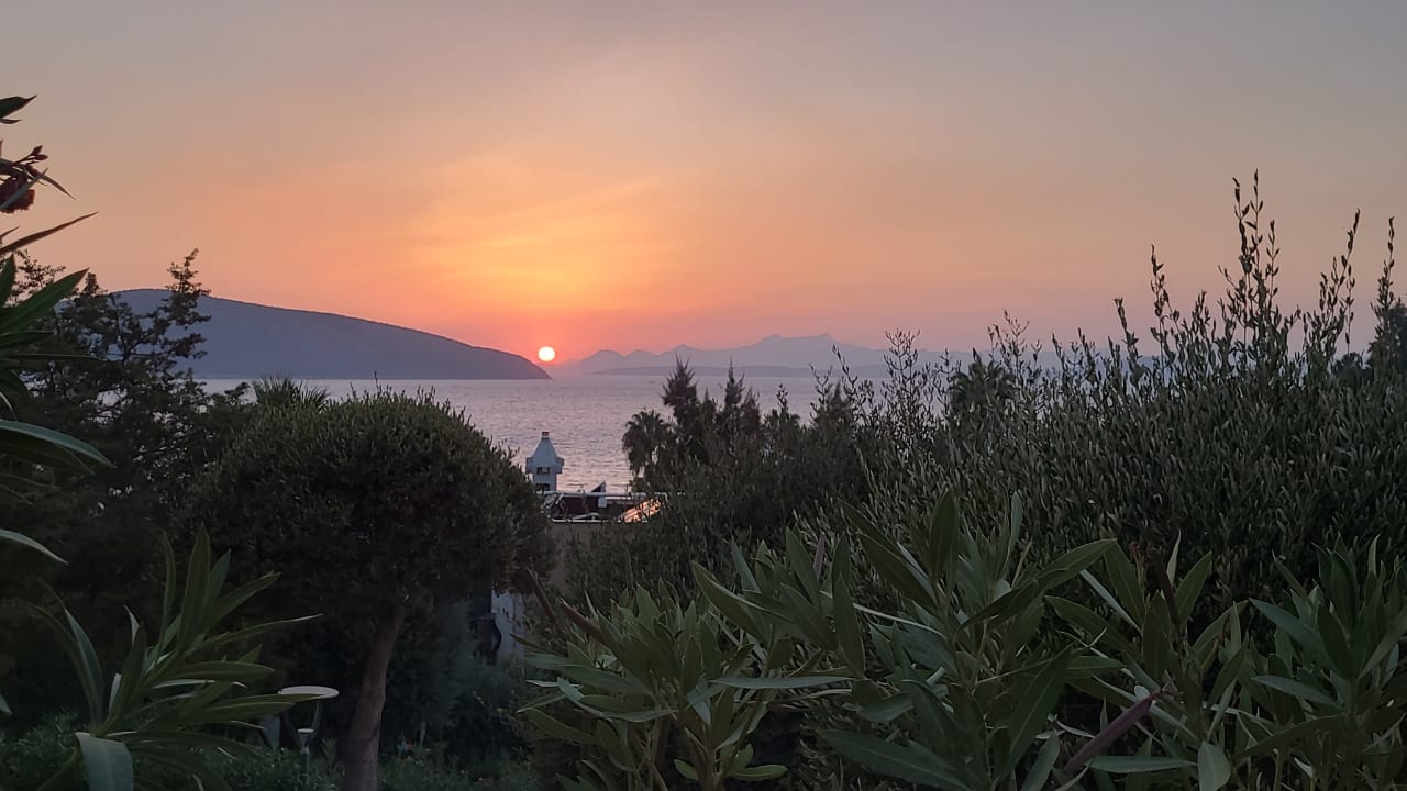 Ausblick TUI MAGIC LIFE Bodrum - Adult Only (16+)