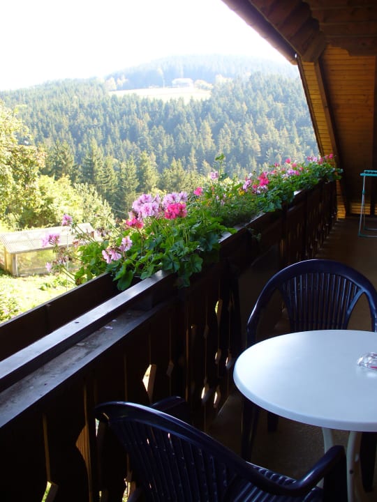 Ausblick Ferienwohnungen Mooshof