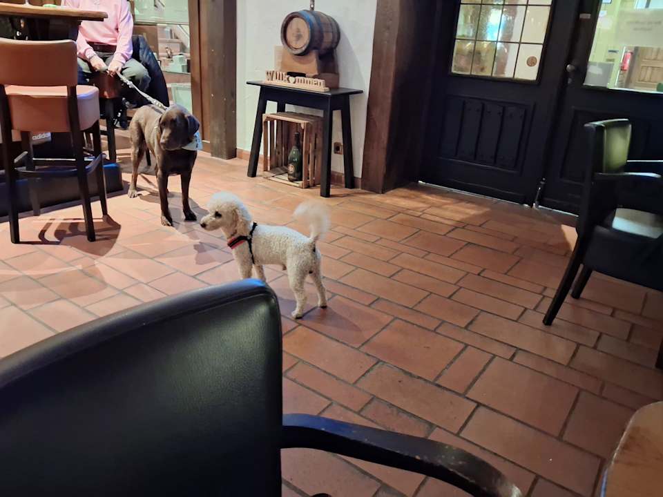 Gastro Sauerland Alpin Hotel