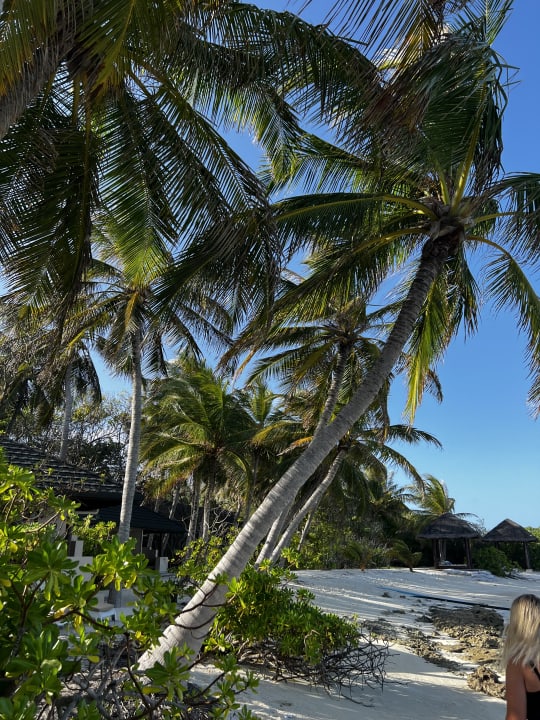 Strand Summer Island Maldives