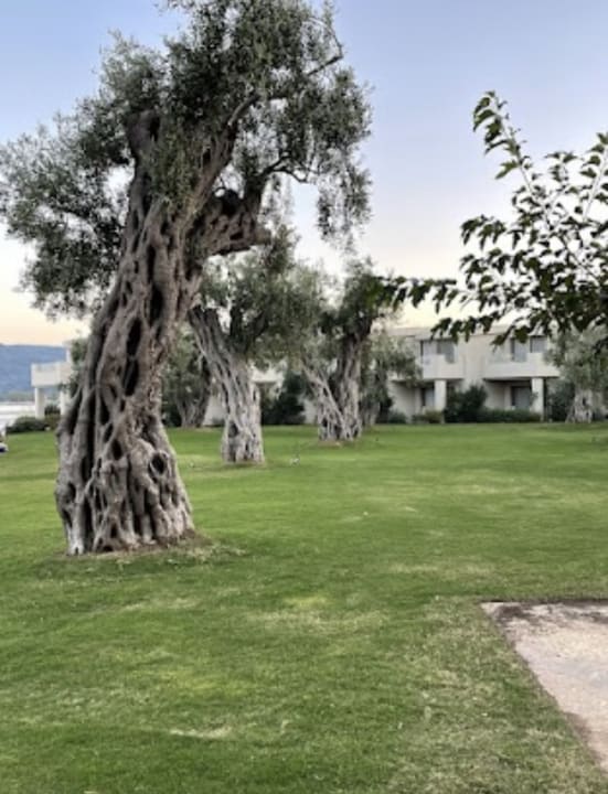 Gartenanlage Domes Miramare, a Luxury Collection Resort, Corfu