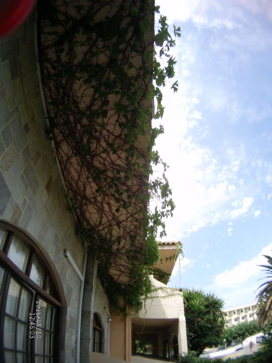Корпус Апполо. Hotel Aphrodite Beach Club