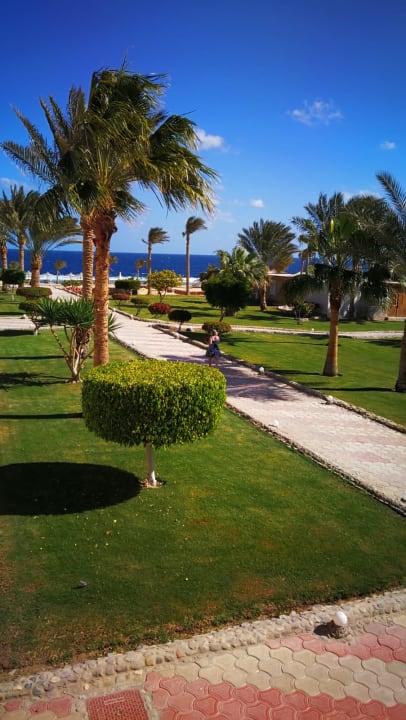 Ausblick Three Corners Sea Beach Resort