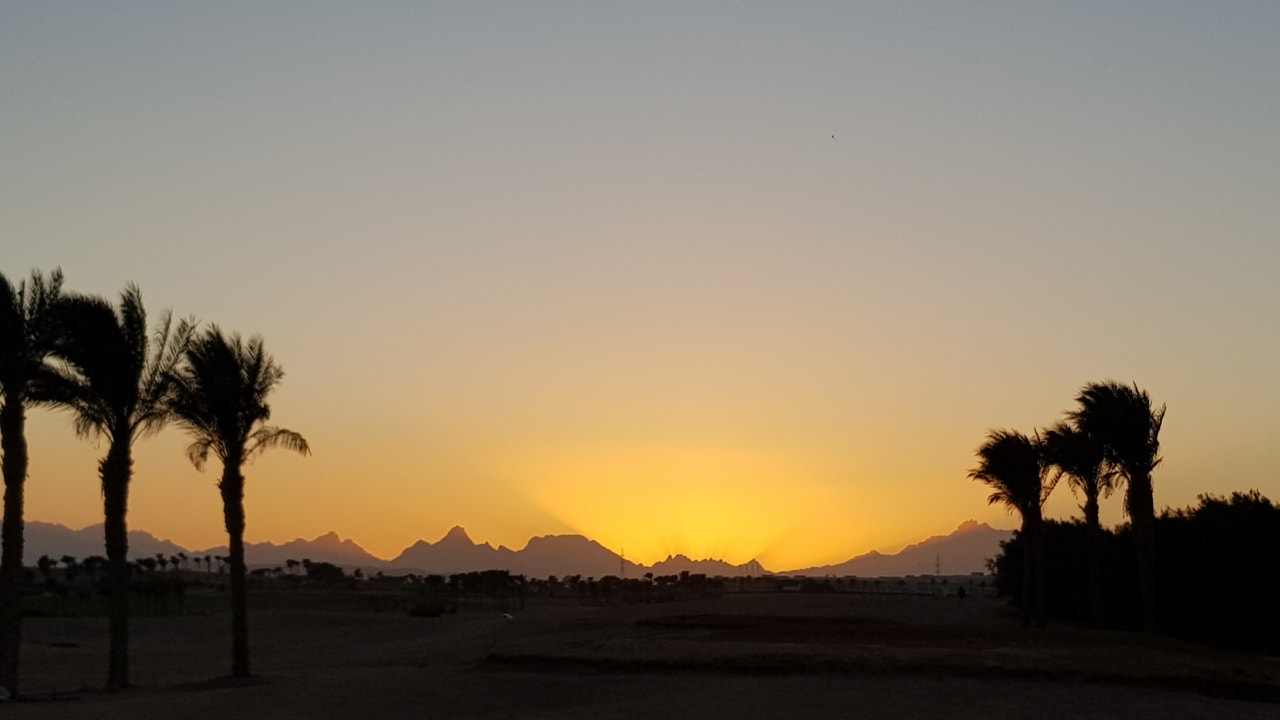 Ausblick Jaz Makadi Oasis Resort