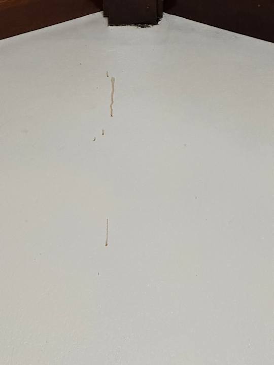 Zimmer Hotel Montana Monteverde