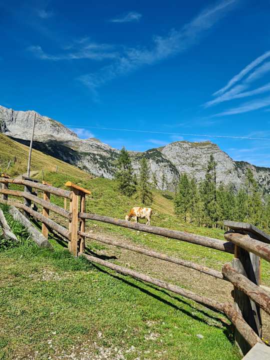 Ausblick Hotel Salzburgerhof