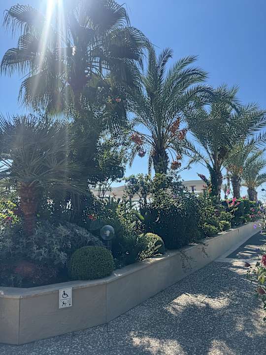 Gartenanlage Aria Resort & Spa