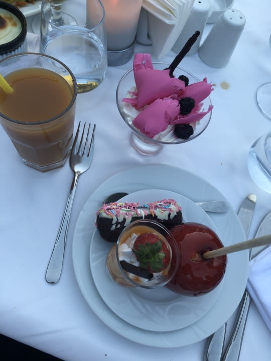 Gastro Papillon Ayscha