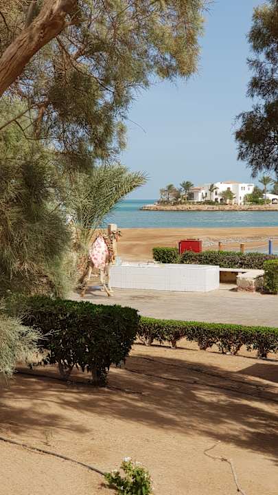 Gartenanlage Mövenpick Resort & Spa El Gouna