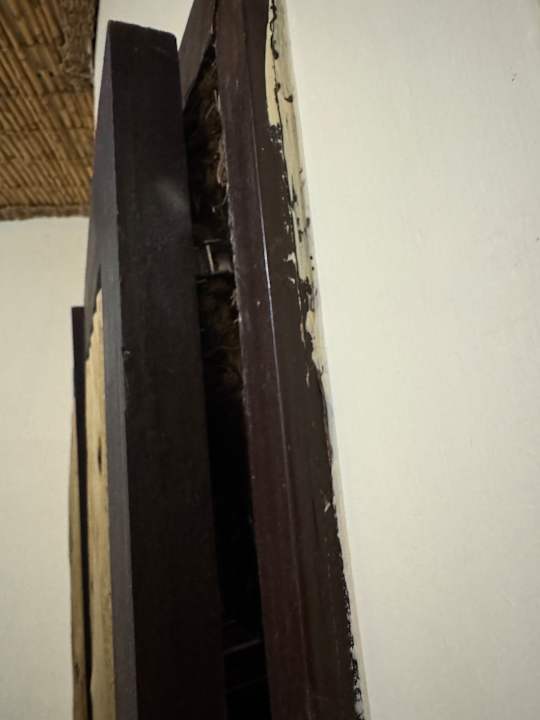 Zimmer Okaukuejo Camp