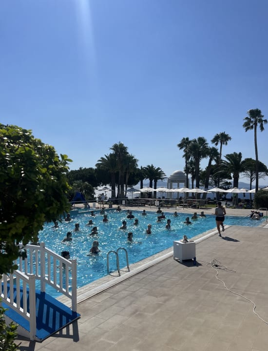 Pool ROBINSON DAIDALOS