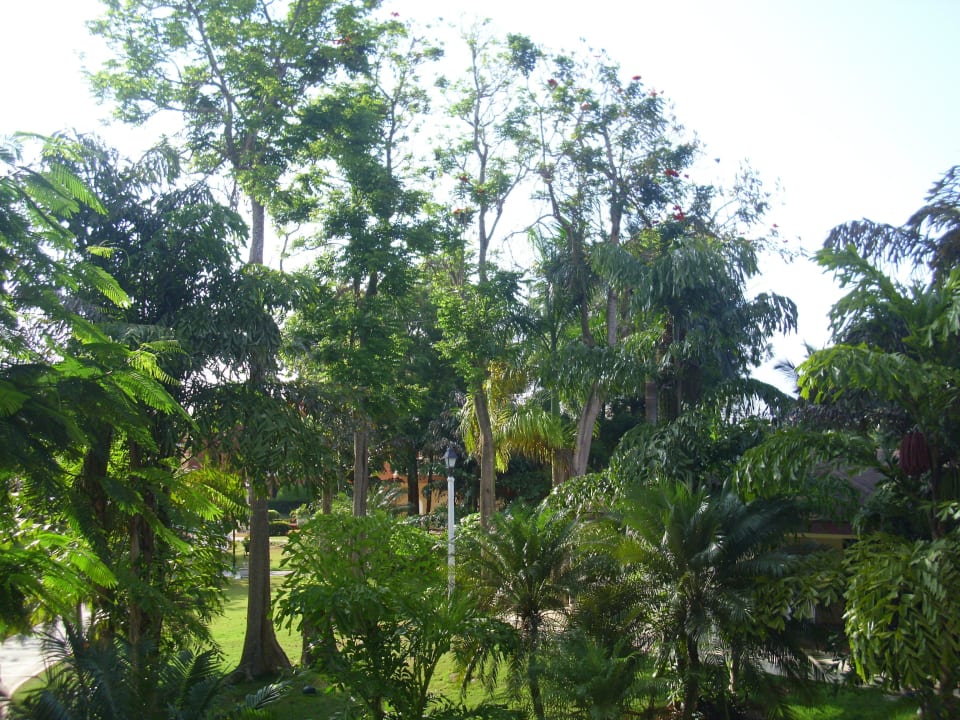 Hotelgelände BelleVue Dominican Bay