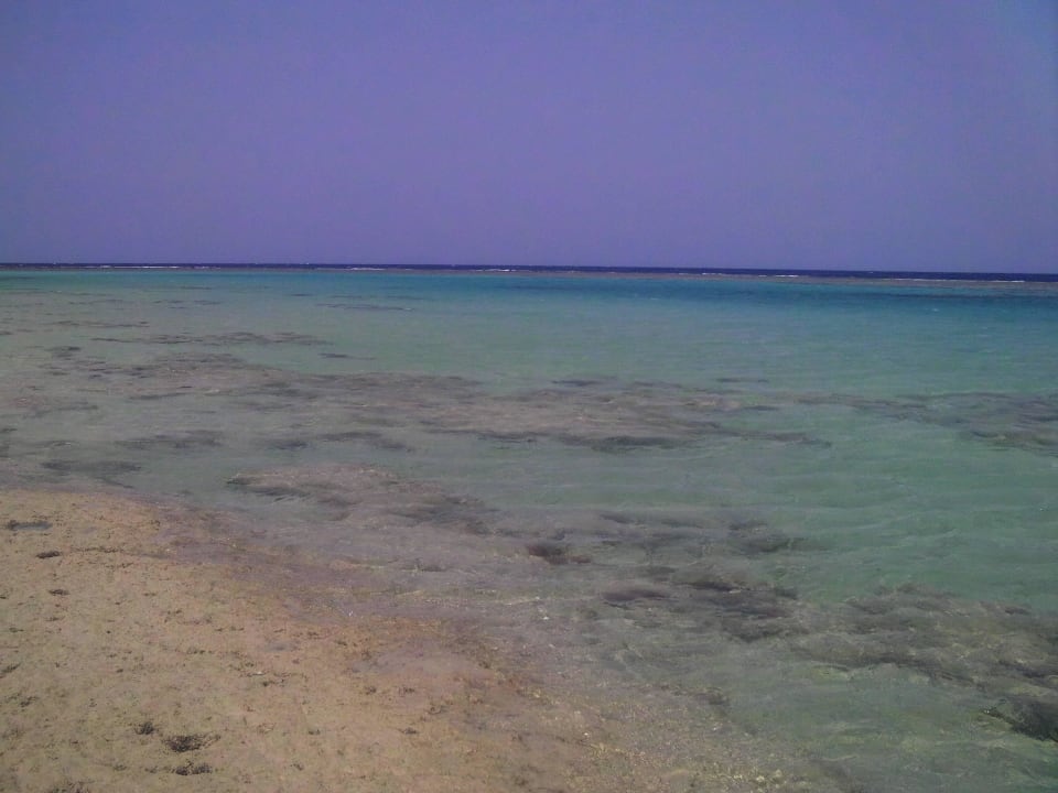 Strand Hotel Gorgonia Beach Resort