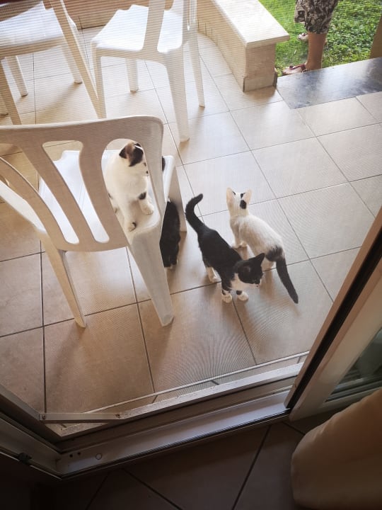 Sonstiges Labranda Alantur Resort