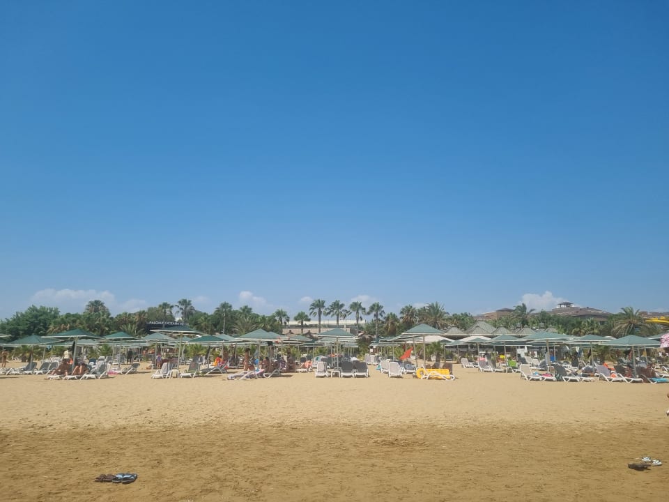 Strand Paloma Oceana