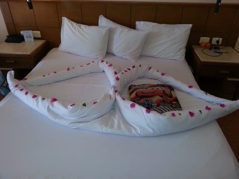 Danke Ibrahim Charmillion Gardens Aquapark