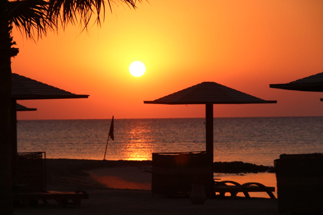 Strand Shams Prestige Abu Soma-Adults Only