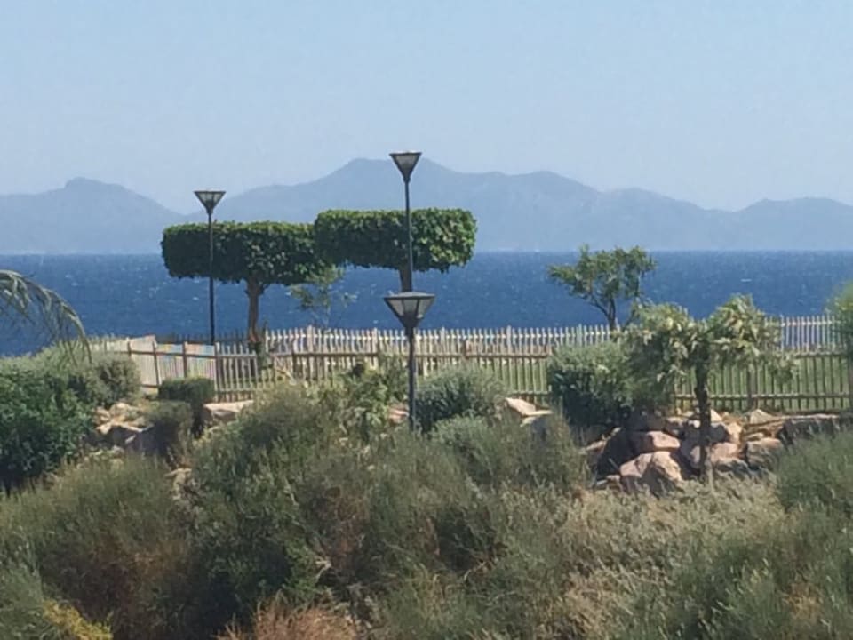 Ausblick Dimitra Beach Hotel & Suites