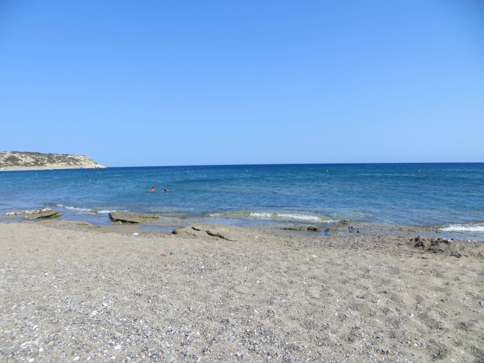 Felsig  Atlantica Plimmiri