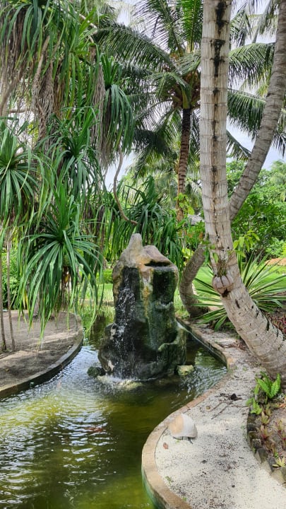 Gartenanlage Adaaran Select Meedhupparu Island Resort - Premium All Inclusive