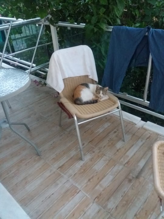 Zimmer Clover Magic Altınkum Park (Annex Clover Magic Nova Beach)