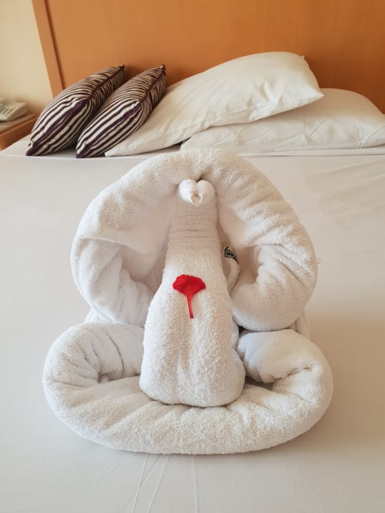 Zimmer Hotel JAZ Makadi Star & Spa