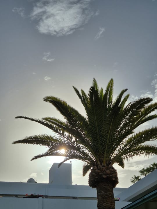 Gartenanlage HOVIMA Panorama