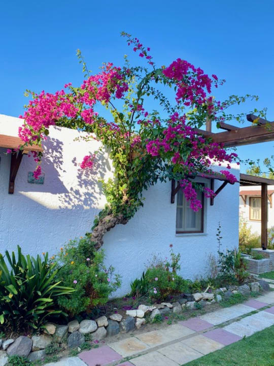 Gartenanlage Gaia Garden Hotel