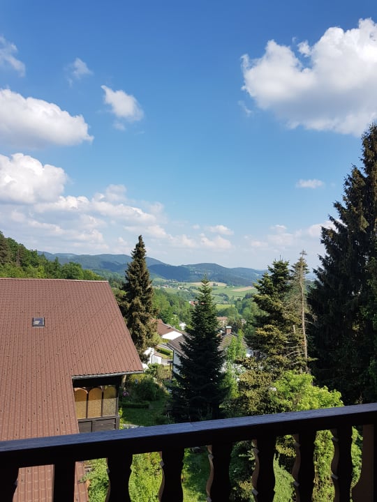 Ausblick Pension am Schwammerl