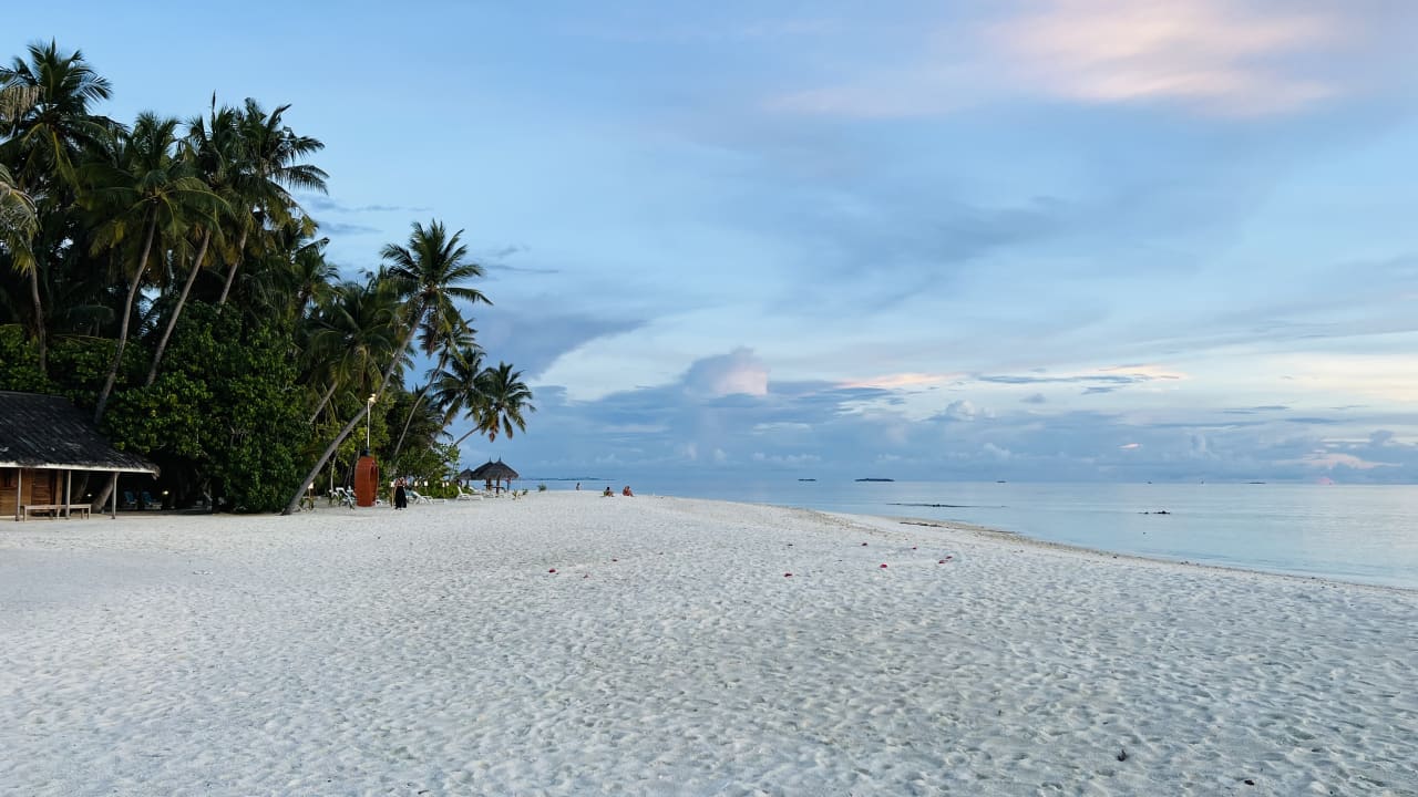 Strand Fihalhohi Maldives