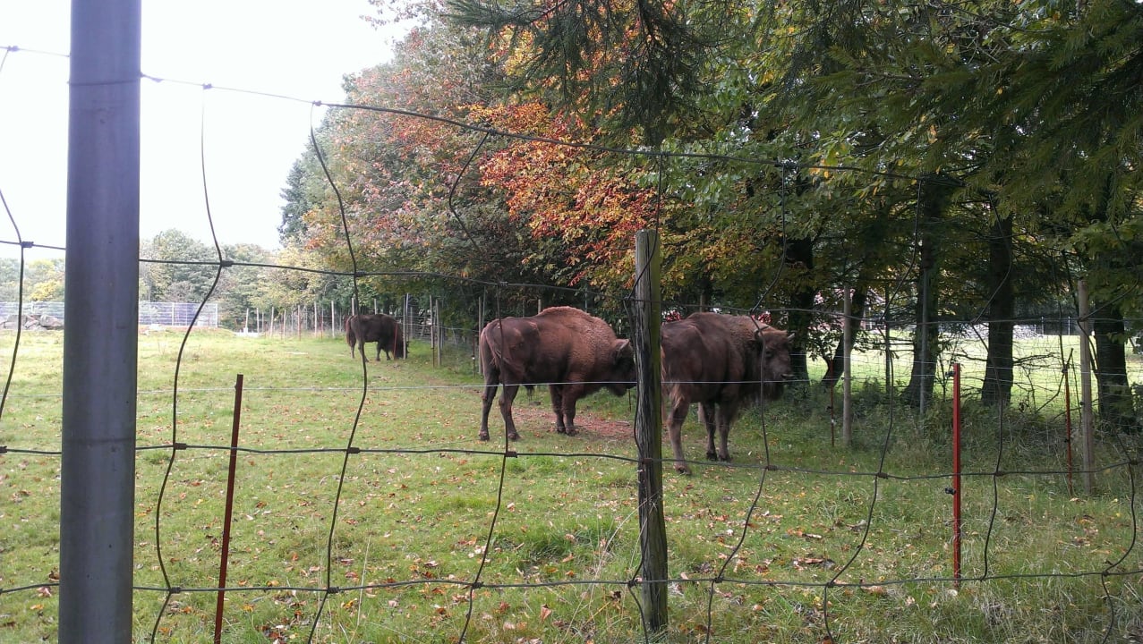 Die Nachbarn Wildpark Hotel